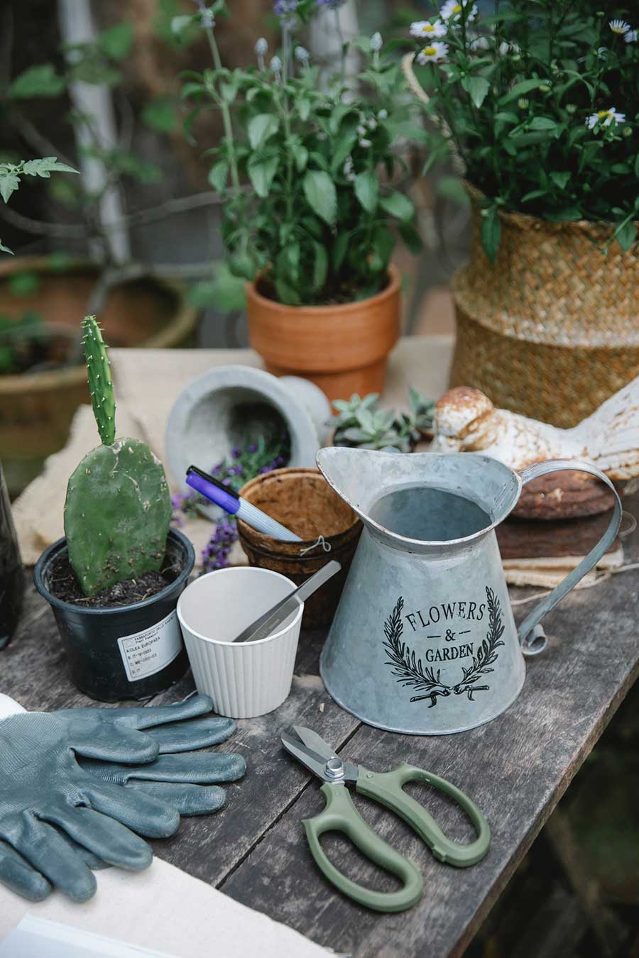 Gardening supplies on an outdoor wooden table.